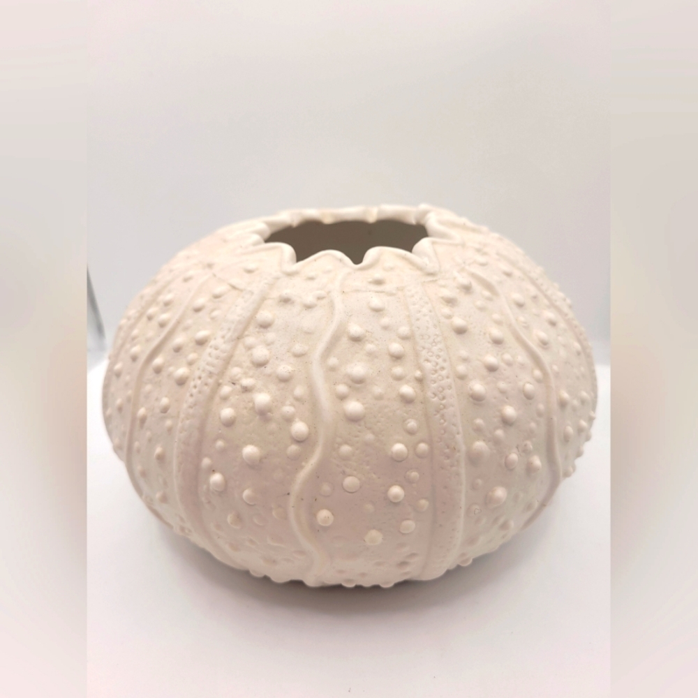 Studio Sea Urchin Pottery Vase